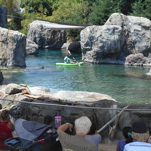 kayaking_keeper_sea_lions_Fresno