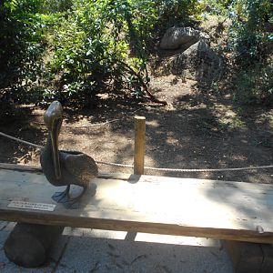 pelican_bench_Fresno