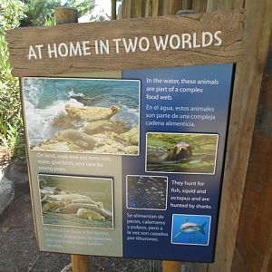 sea_lion_land_sea_sign