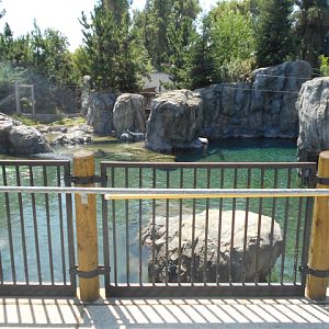 Sea Lion Cove second view of exhibit