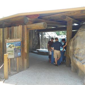 Sea Lion Cove third viewing area