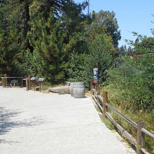 trail between viewpoints of Sea Lion Cove