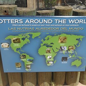 Otters of the world interpretive sign