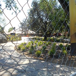 Africa exhibit construction