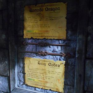 Komodo dragon and king cobra interpretive signage