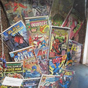 Insect House - Invertebrate Art