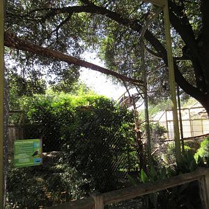 Wings of Wonder - African Fish Eagle Exhibit