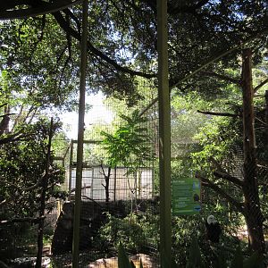 Wings of Wonder - Bald Eagle Exhibit