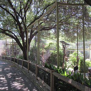 Wings of Wonder - Row of 8 Aviaries