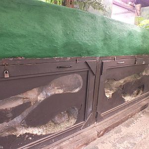 Inside of a Rabbit Warren