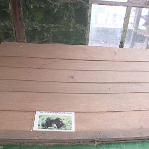 Empty Mole Enclosure