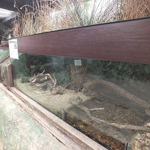 Water Shrew Enclosure