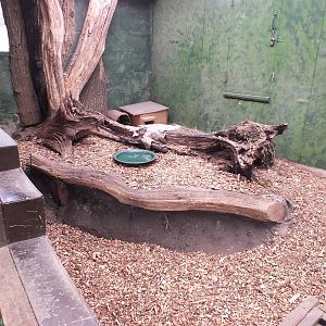 Open-topped Hedgehog Enclosure
