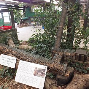 Part of the Walkway network for Weasel