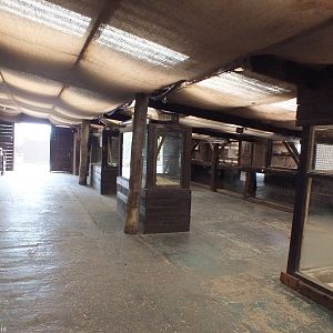 View in the Barn Area