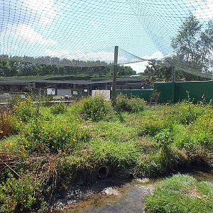 Water Vole Enclosure