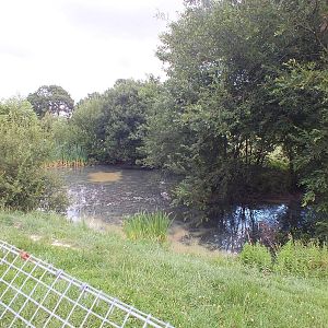 One of the Otter Pools