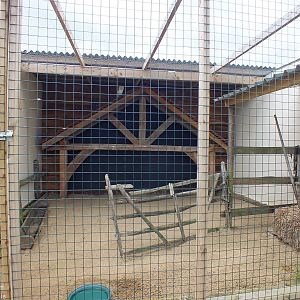 Barn-themed Barn owl Enclosure