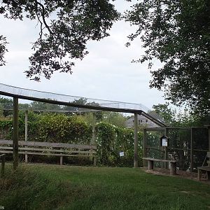 Part of the Extensive Network of Pine Marten Walkways.