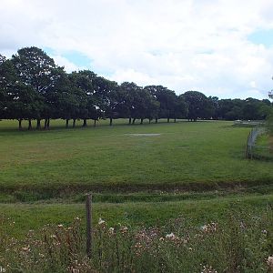 View of the 'Deer Park'