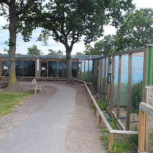 Aviaries for Owls