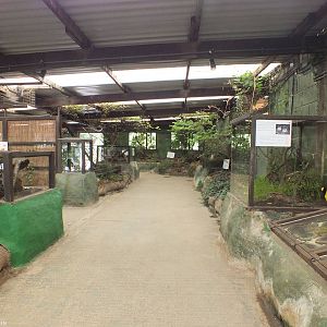 View of the Hedgerow Area