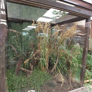 One of the Rodent Enclosures