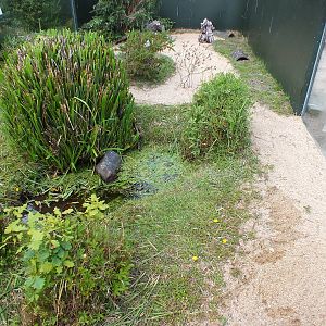 One of the Snake Enclosures
