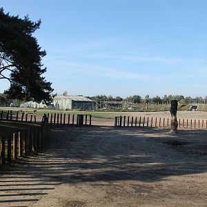 Southern white rhinoceros enclosure