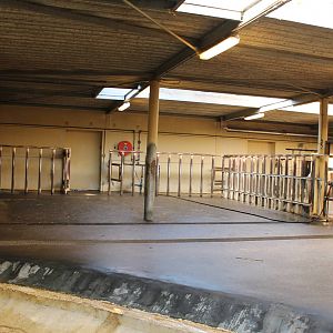 Southern white rhinoceros stables