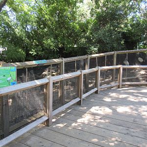 Red-Crowned Crane Exhibit