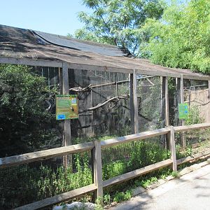 Bird Aviaries (3 Species)