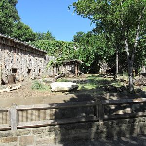 Giant Anteater Exhibit