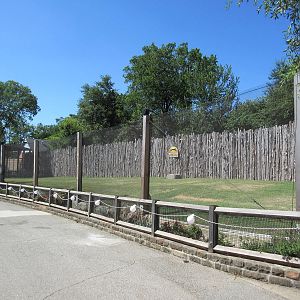 Cheetah Presentation Area