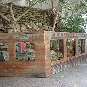 Reptile House - Chinese Alligator Exhibit