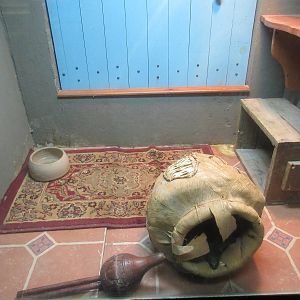 Reptile House - Moroccan Cobra Exhibit