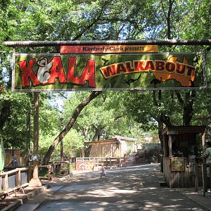 Koala Walkabout - Added in 2012