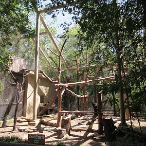 Primate Place - Colobus Monkey Exhibit