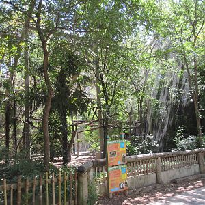 Primate Place - White-Faced Saki Monkey/Bolivian Grey Titi Monkey Exhibit