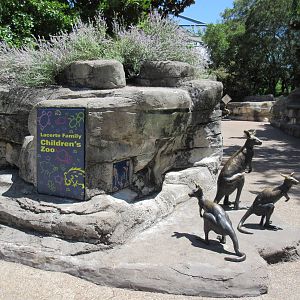 Children's Zoo - Entrance Area