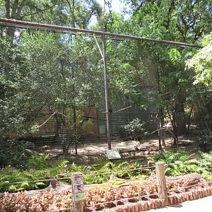 South American Exhibit (4 Species)