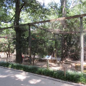 South American Aviary (7 Species)