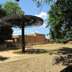 Black Rhino Exhibit #1