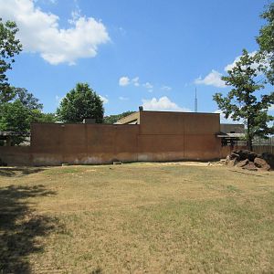 Black Rhino Exhibit #1