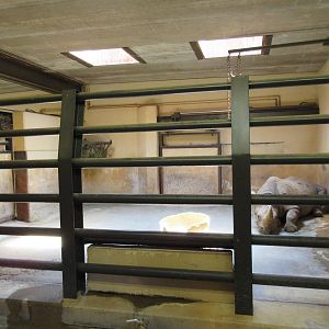 Black Rhino Barn (5 stalls in total)