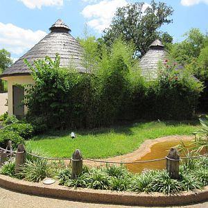 Lesser Flamingo Exhibit (currently empty)