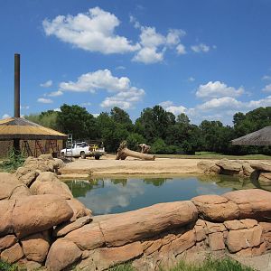African Elephant Exhibit