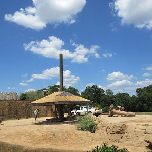 African Elephant Exhibit