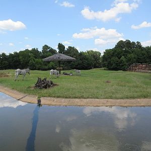 East African Savanna