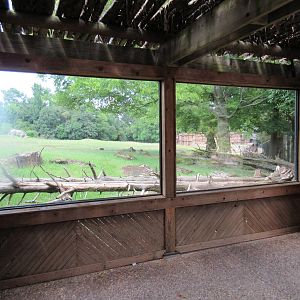 East African Savanna